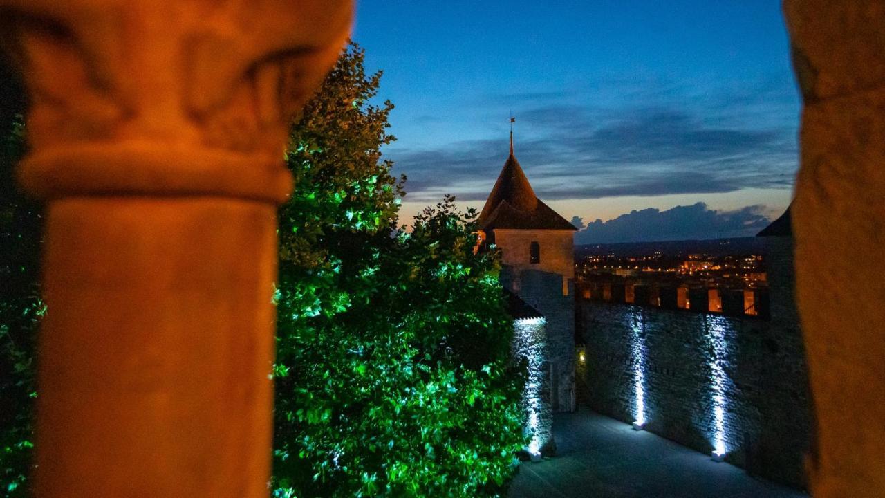 Tout Confort ! Calme, Climatisation, Piscine, Parking Gratuit, Grande Terrasse, Netflix, Wifi Carcassonne Exteriör bild