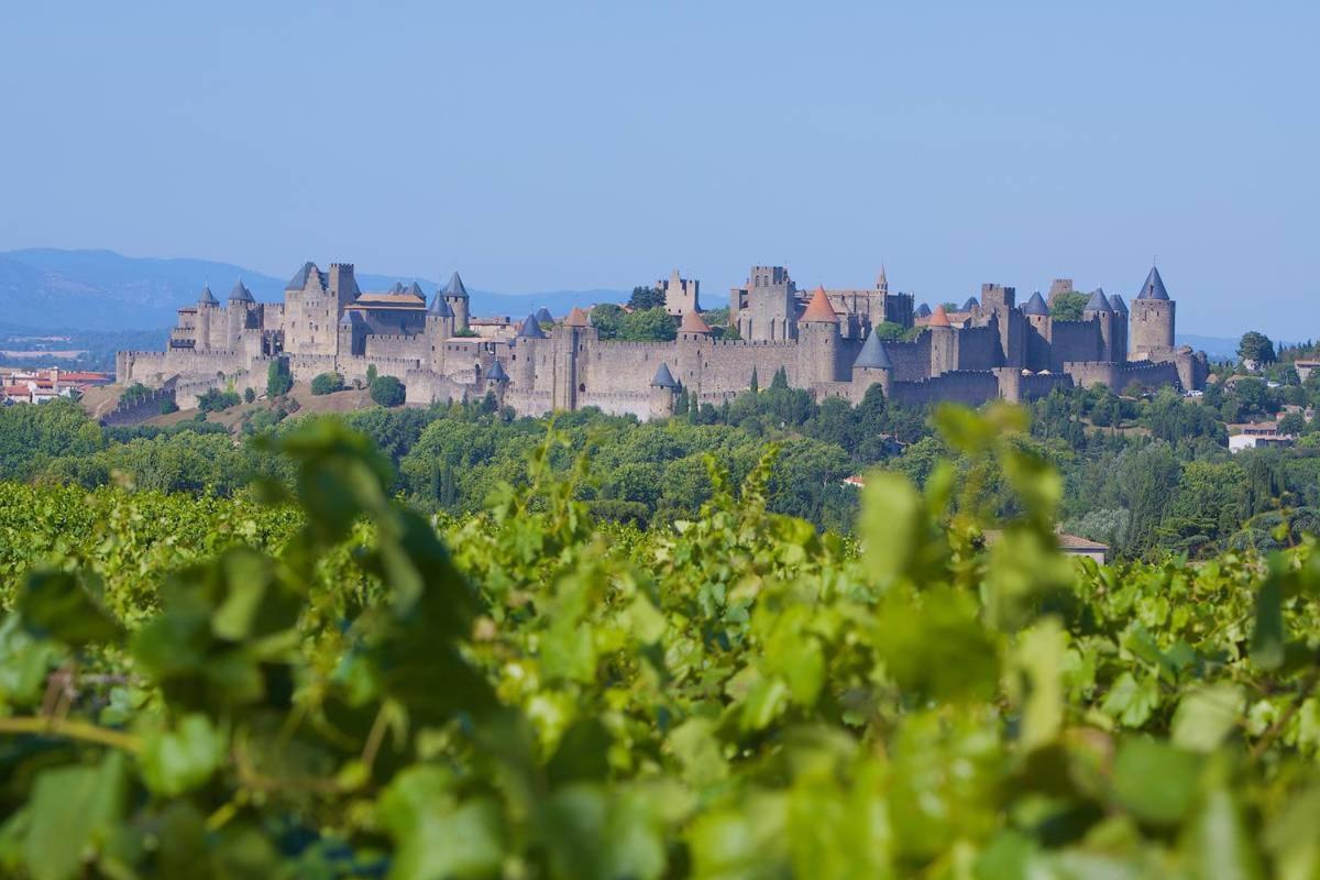 Tout Confort ! Calme, Climatisation, Piscine, Parking Gratuit, Grande Terrasse, Netflix, Wifi Carcassonne Exteriör bild